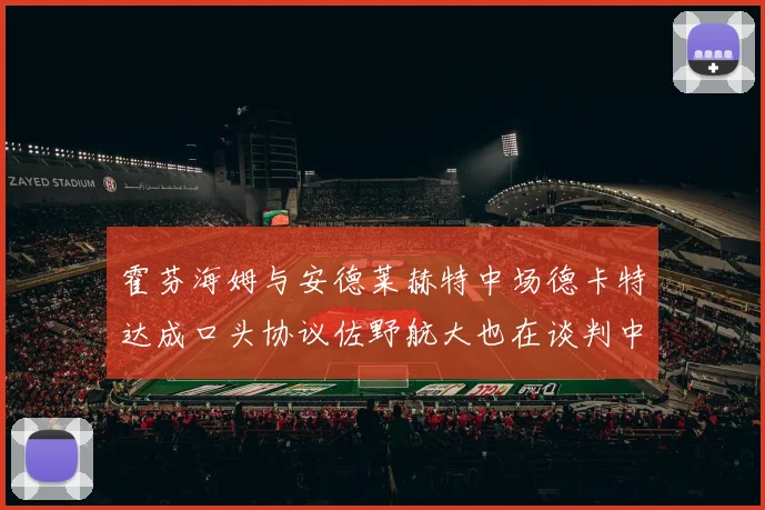 霍芬海姆与安德莱赫特中场德卡特达成口头协议佐野航大也在谈判中