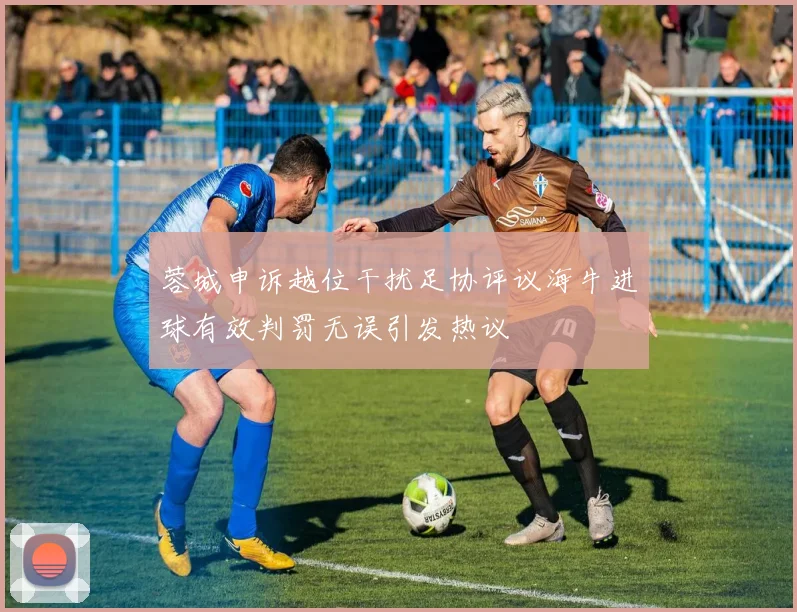 蓉城申诉越位干扰足协评议海牛进球有效判罚无误引发热议